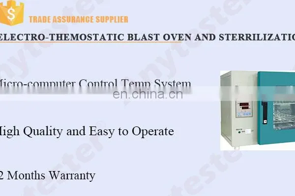 Electric-Thermostatic Blast Oven and Sterilization photo-3
