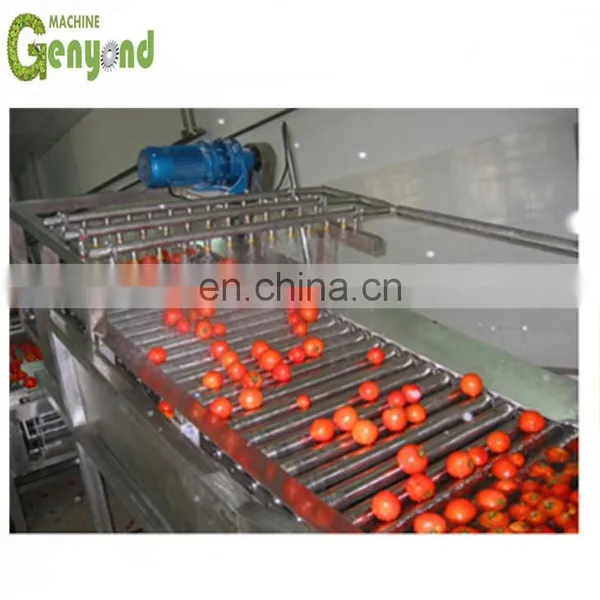 Complete Apple Juice Processing Plant photo-3