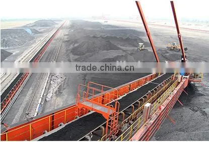 Heat Resistant Conveyor Belt Belt Conveyor New Products on China Market photo-3