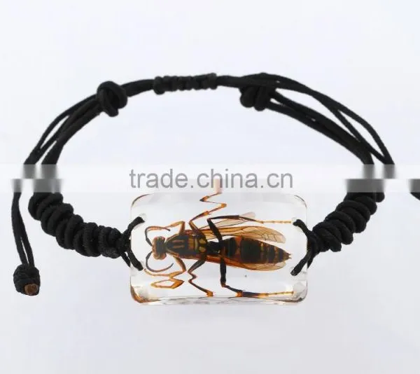 Latest Hippie Bracelet Beads as Promotion Gifts With Real Insect photo-4