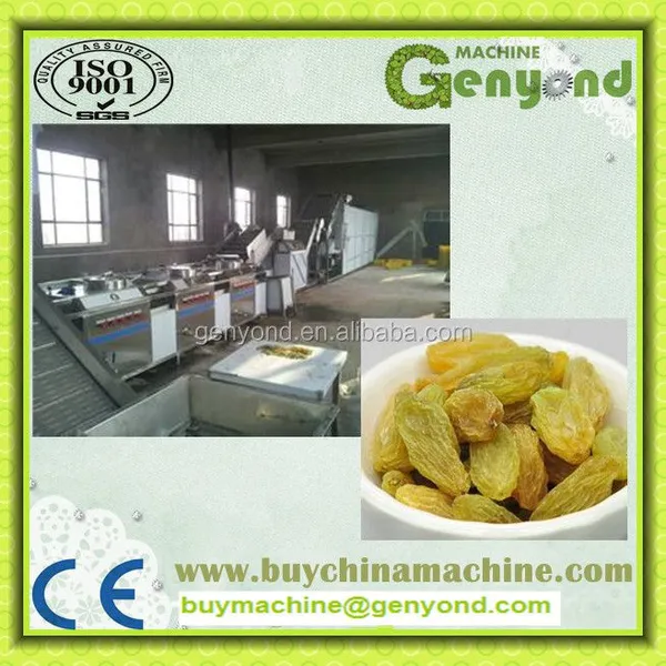 Raisin Cleaning Machine for the Raisin Processing photo-3