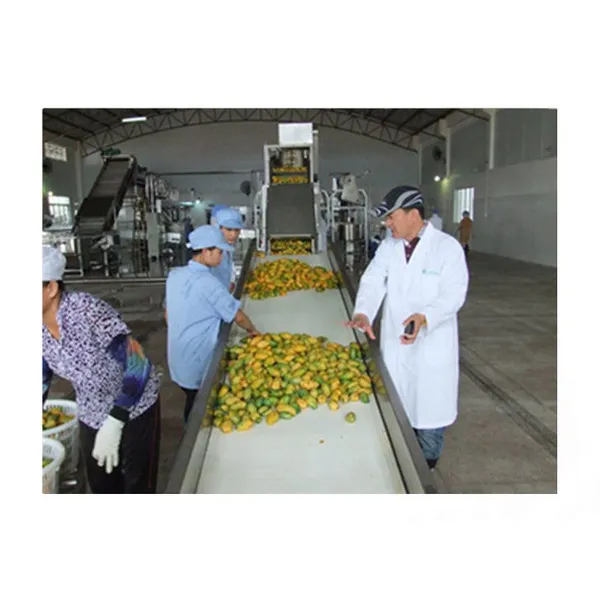 Shanghai Factory mango Peeling Pitting Cutting Drying Equipment Dried Dehydrated mango Processing Machine Production Plant Line