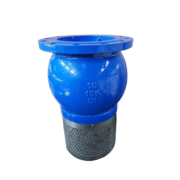 ANSI Certified Vertical Foot Valve Cast Iron/Stainless/Plastic Optional Bottom Valve One Way Check Valve Custom ODM Available photo-2