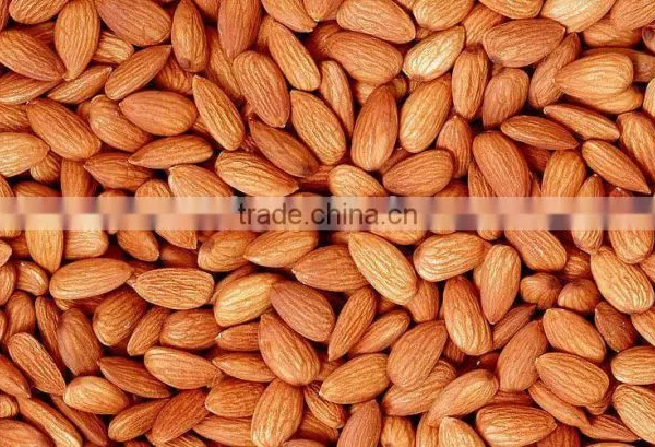 2016hot Sale Sweet Almond photo-2