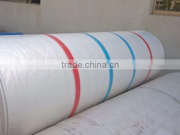 Waterproof Pe/pvc/pp Tarpaulin in Roll of Cover Sheet Ground Sheet photo-2