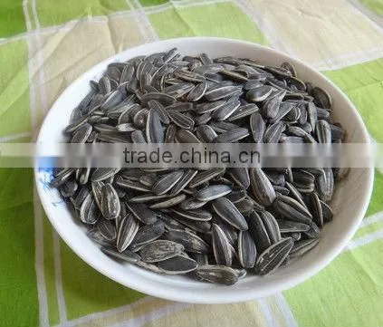 New Crop Sunflower Seeds