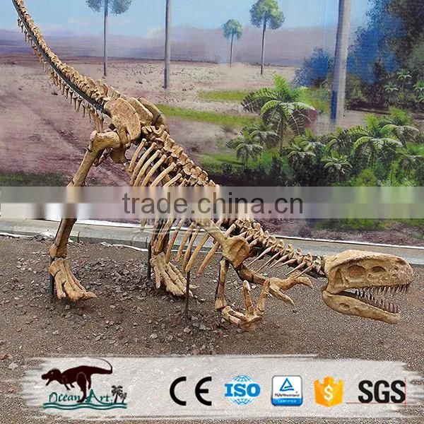 OA4082 High Quality Fossils Dinosaur photo-2