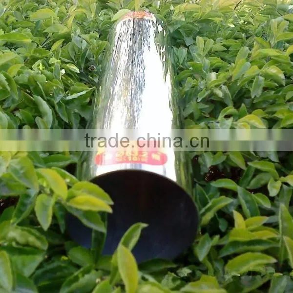 2 Inch Aisi316l Stainless Steel Pipe With Best Quality photo-6