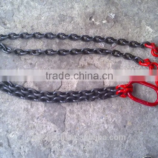 China Supplier Safety Snatch Hook Multi Legs Lifting Chain photo-4