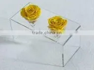 Acrylic vase with simple design