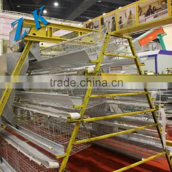Chicken Farm Equipment Cage for Growing Broiler photo-3
