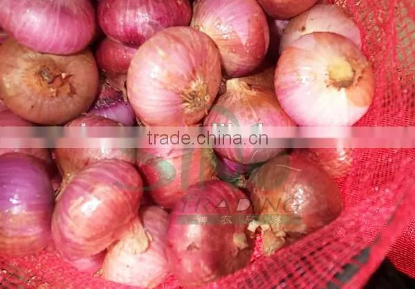 2015 Crop Lowest Price Fresh Red Onion photo-3