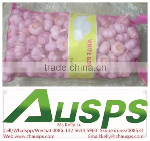 Fresh Natural Garlic Price photo-3