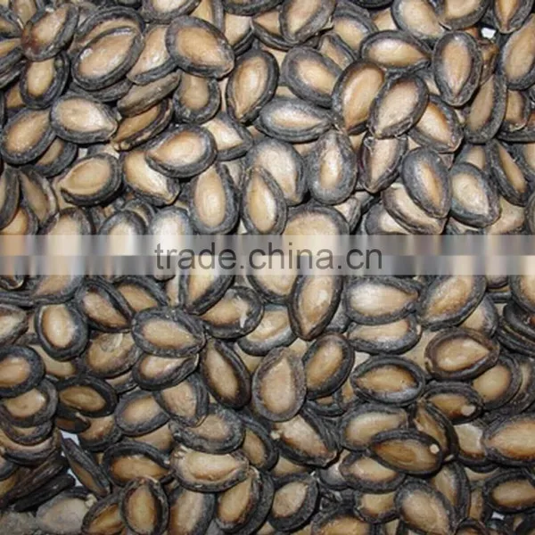 New Crop High Quality Melon Seed photo-2