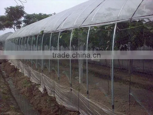 Commercial Bird & Bug Netting
