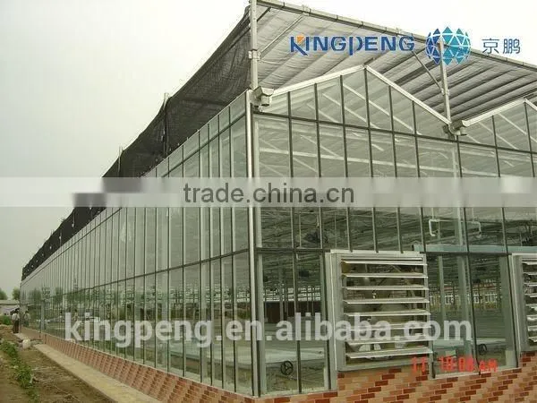 Multi Span Glass Greenhouse for Tomato Production photo-3