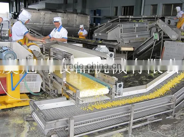 Frozen Sweet Corn Freezing Production Line for Industrial Use photo-3