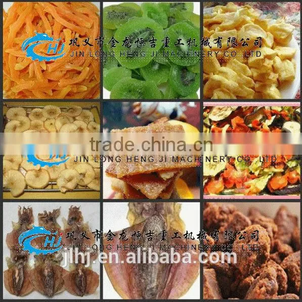 Commercial Indursrial Food Drying Equipment/dried Food Dryer/Microwave Tunnel Dryer Machine