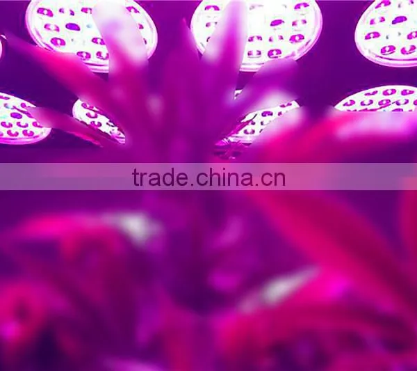 2017 Hot Sales High Efficient 3W LED Diodes 300W 400W 600W Led Grow Light photo-6