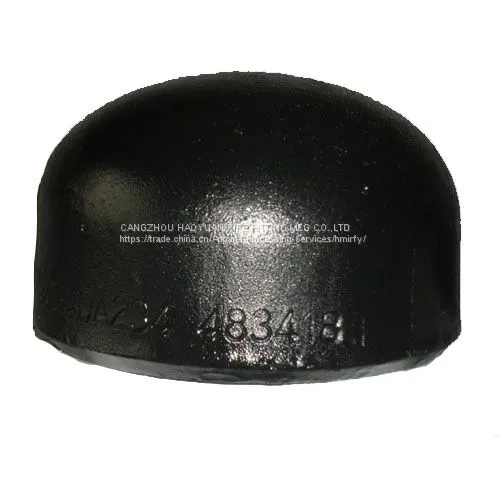 Schedule 40 Steel Pipe Cap photo-2