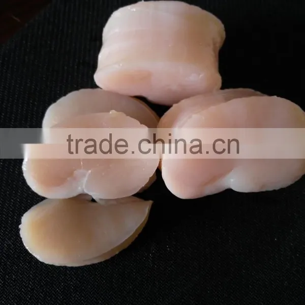 Frozen Scallop High Quality Pen Scallop for Sale