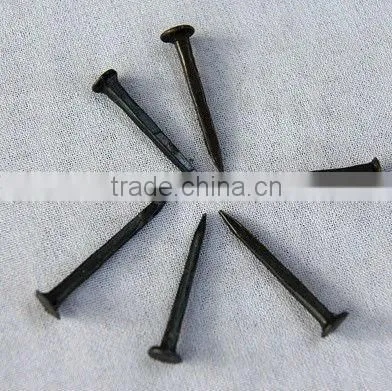 Blue Shoe Tacks Nails(Guangzhou Factory) photo-2
