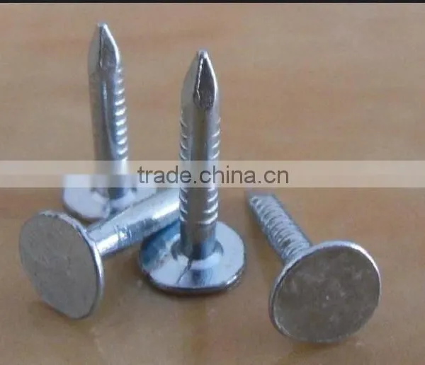 Galvanized Clout Nails /roofing Nails Flat Head photo-3