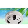 Auto White Balance Cover PIR Video Cameras of IR Status Under 10 Lux By CDS