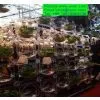 Acrylic Wall Screen for Decoration in Home/office,shop Etc photo-2