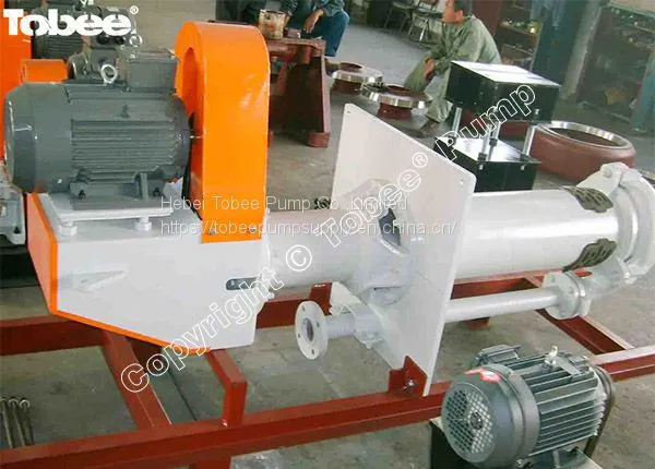 Standard 40mm Heavy Duty Cantilever Sump Slurry Pump photo-4