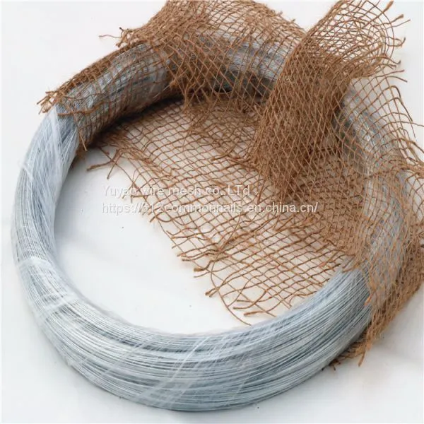 BWG20 2kX10 Rolls Galvanized Building Wire photo-5