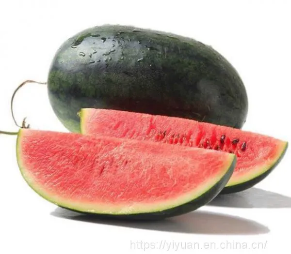 Watermelon F1 Hybrid Sweet Melon Seeds Fruit Seeds No.89 photo-2