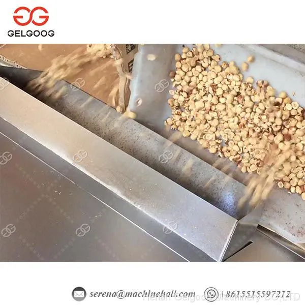 Multifunction Small Cashew Peeling Machine Wet Type Soybean Peeling Machine For Sale photo-2