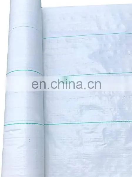 PP Weed Mat Fabric for Ground Sheet Cover Usage photo-5