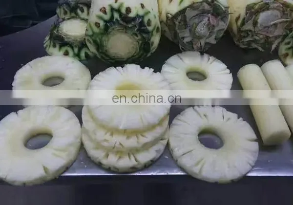 Factory Price Canned Pineapple Slicing Cutting Machine photo-5