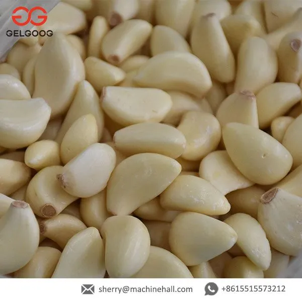 Automatic Garlic Sauce Production Line Ginger Garlic Paste Making Machine Price photo-3