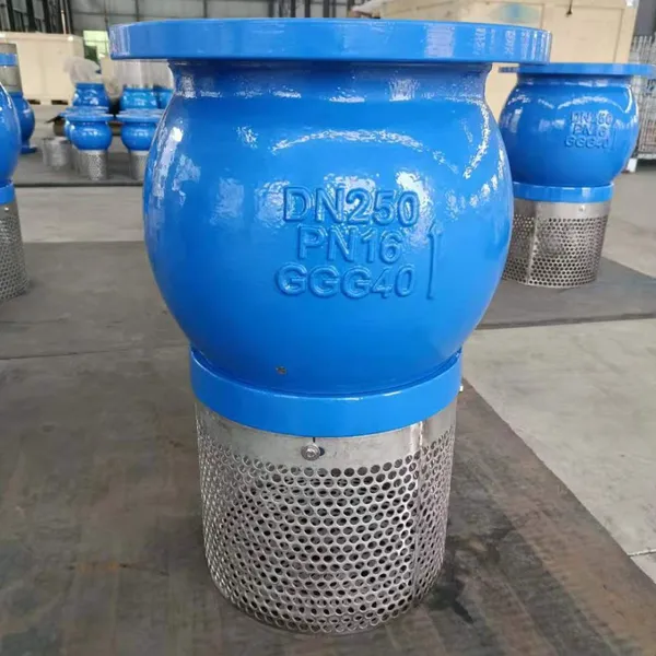 Soupape de fond d'aspiration en fonte résistante à la pression, accessoire de pipeline ANSI