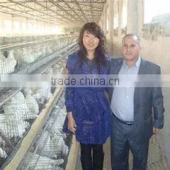 HAICHEGN Top and Bottom Heating Heat Transfer Machine photo-5