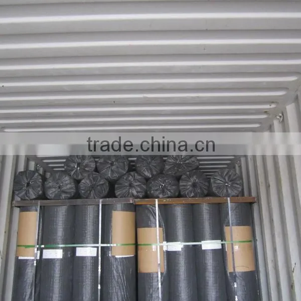 Hot Sale 2016 Polyester Geogrid photo-5