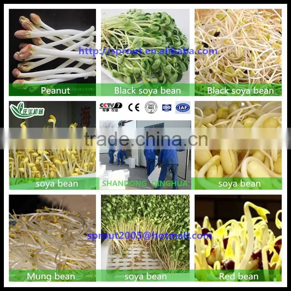 Black Bean Sprout Machine/peanut/ photo-2