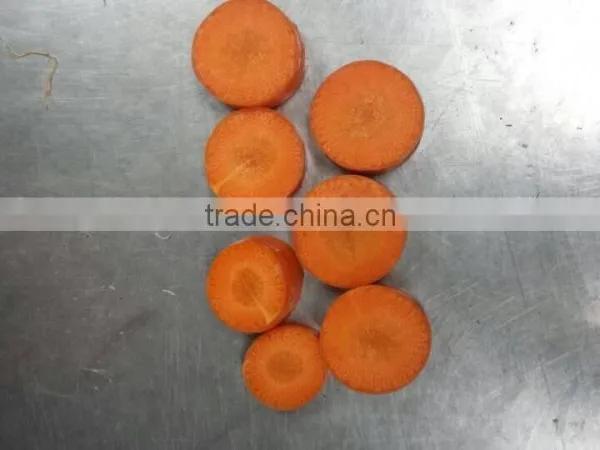 Fresh Carrot/bulk Carrot /fresh Red Carrot