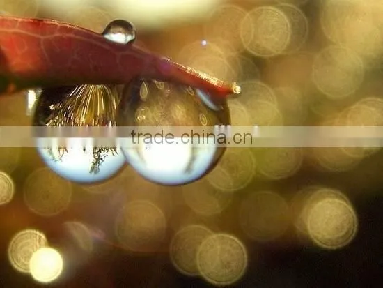 Christmas Brilliant Bokeh Kit for 62mm or Smaller photo-4