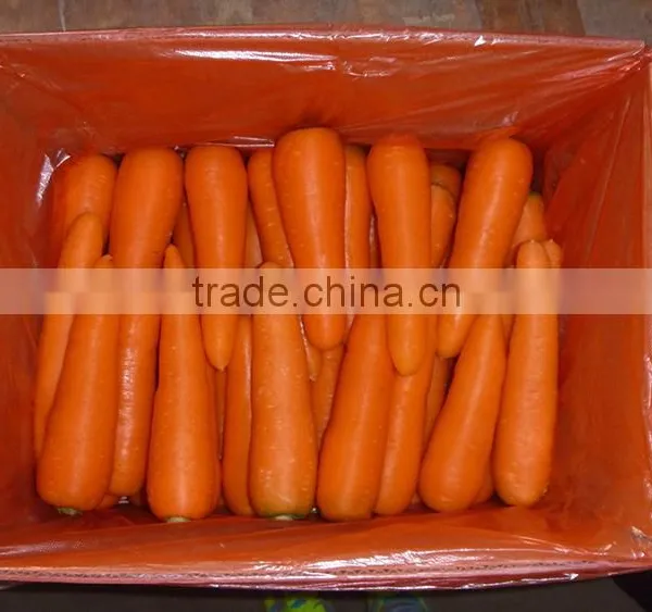 China Fresh Carrot Natural Carrot Manufacturer