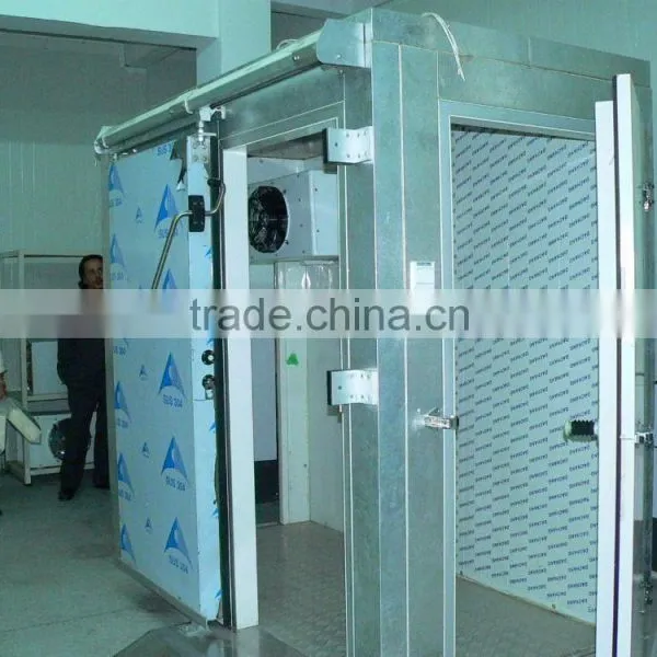 Stucco Embossed Aluminum Cold Room Hinged Door photo-2