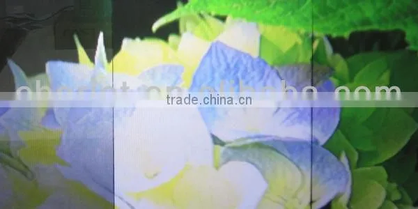 High Resolution Film Projection for Advertising, Glass Window Film,use for Advertising photo-2