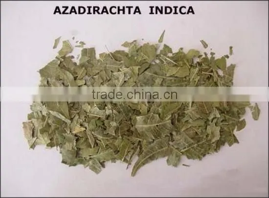 Neem Oil