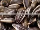 Sunflower Seeds