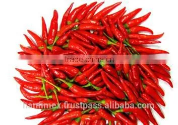 HACCP/HALAL/KOSHER/FDA RED DRY CHILLI photo-2
