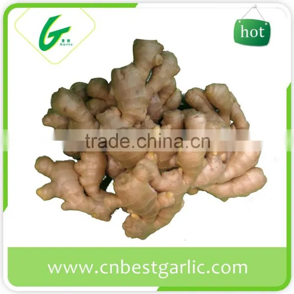 Air Dry Fresh Ginger photo-5