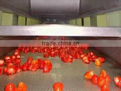IQF/frozen Bulk Strawberries,Frozen/iqf Strawberry Price,frozen Strawberry photo-2